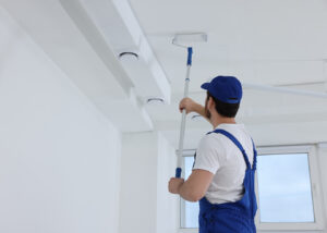 profesyonel usta secimi x2